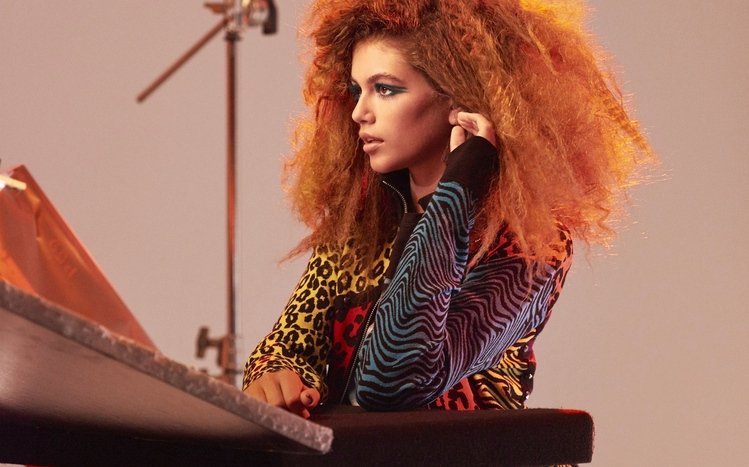 Kaia Jordan Gerber Theme screenshot #14