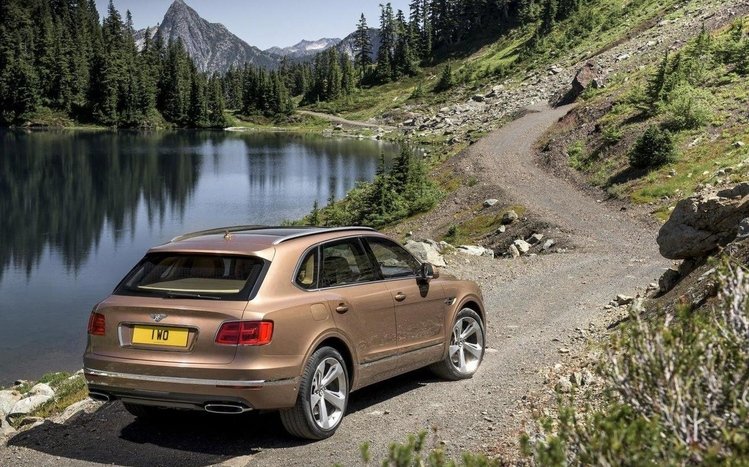 Bentley Bentayga Field Sports Theme screenshot #2