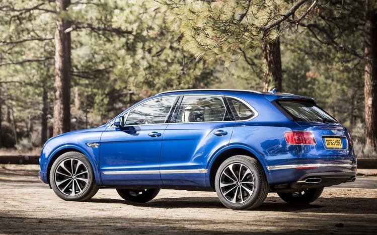 Bentley Bentayga Field Sports Theme screenshot #3