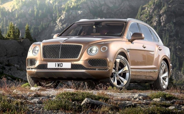 Bentley Bentayga Field Sports Theme screenshot #5