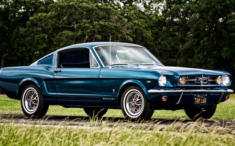 Ford Mustang Theme screenshot #12