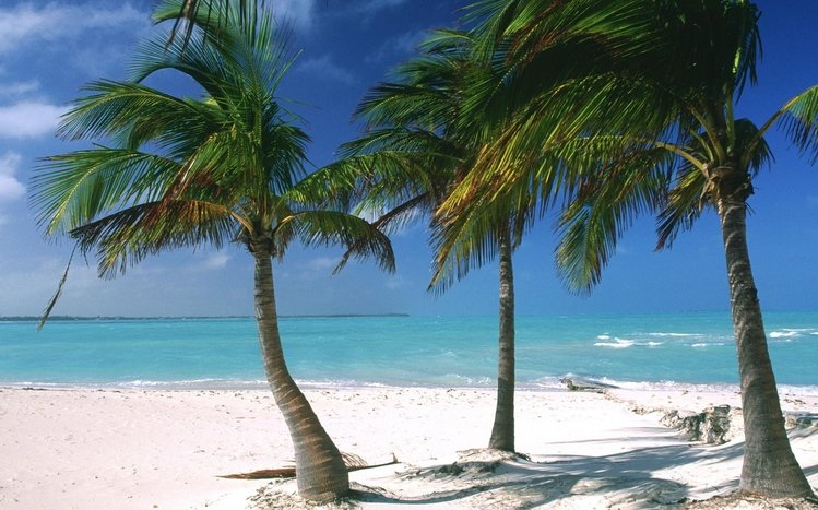 Bahamas Theme screenshot #15