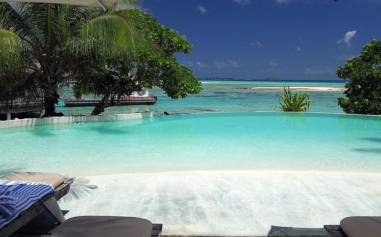 Tropical Paradise Theme screenshot #9