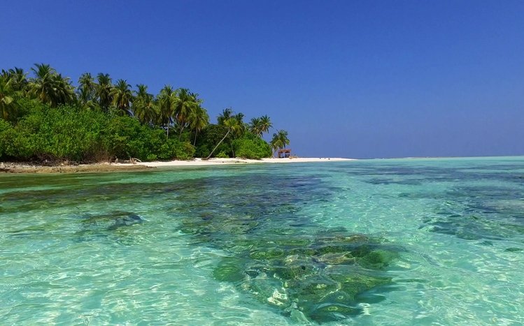 Tropical Paradise Theme screenshot #14