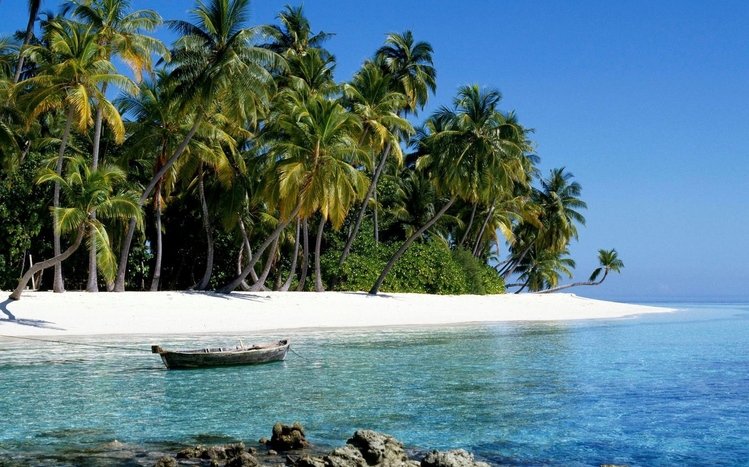 Tropical Paradise Theme screenshot #8