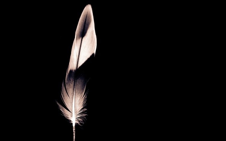 Minimalist Theme screenshot #10