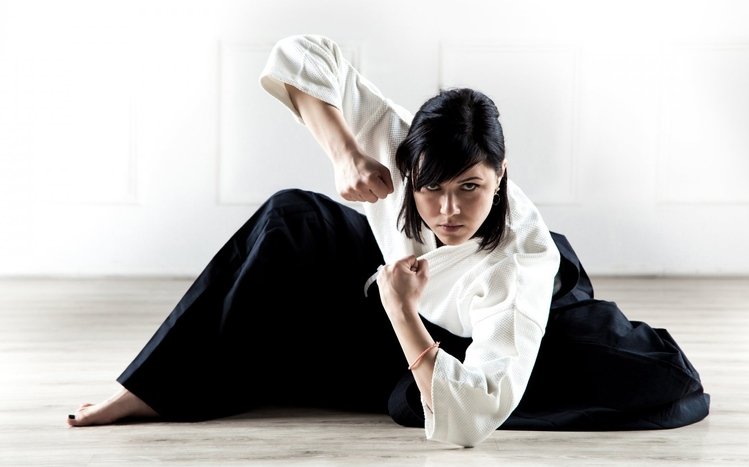 Aikido Theme screenshot #5