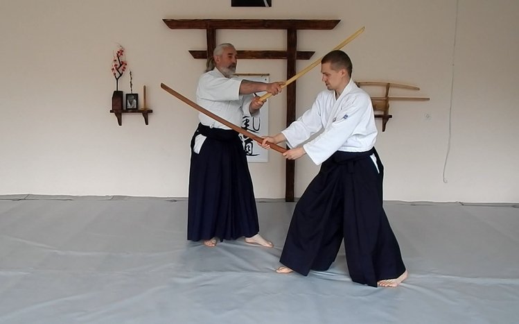 Aikido Theme screenshot #8
