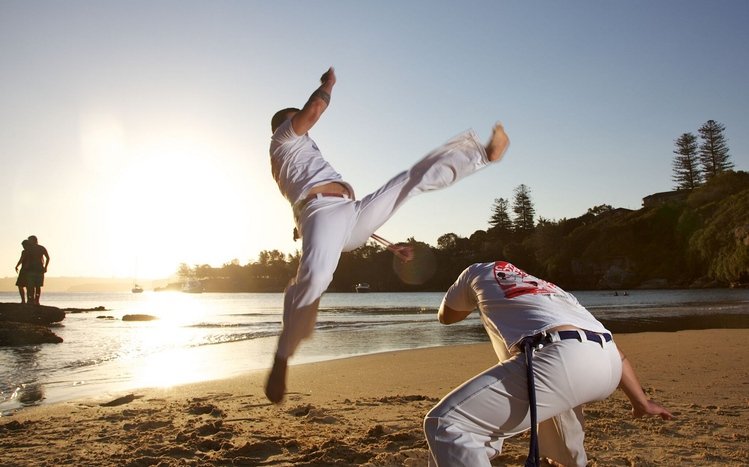 Capoeira Theme screenshot #10
