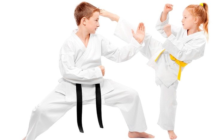 Karate Theme screenshot #8