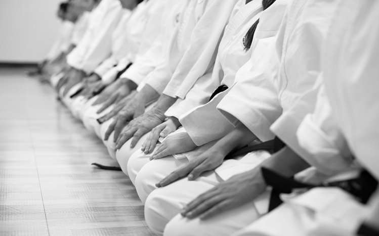 Vận Động Viên Karate Đánh Một Cú Đá Trên Nền Sáng Hình ảnh Sẵn có  Tải  xuống Hình ảnh Ngay bây giờ  An ninh  Khái niệm Chỉ dành cho