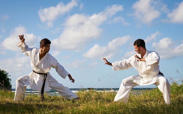 Karate Theme screenshot #7