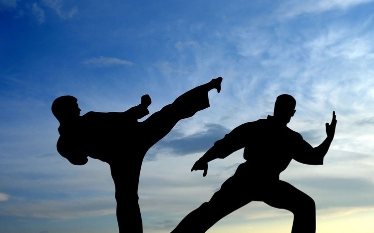 Karate Theme screenshot #11