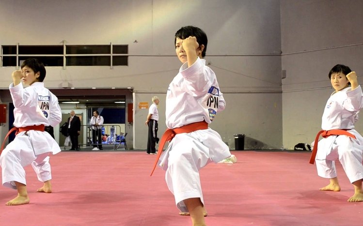 Karate Theme screenshot #10