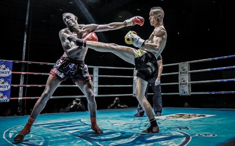 Muay Thai Theme screenshot #3