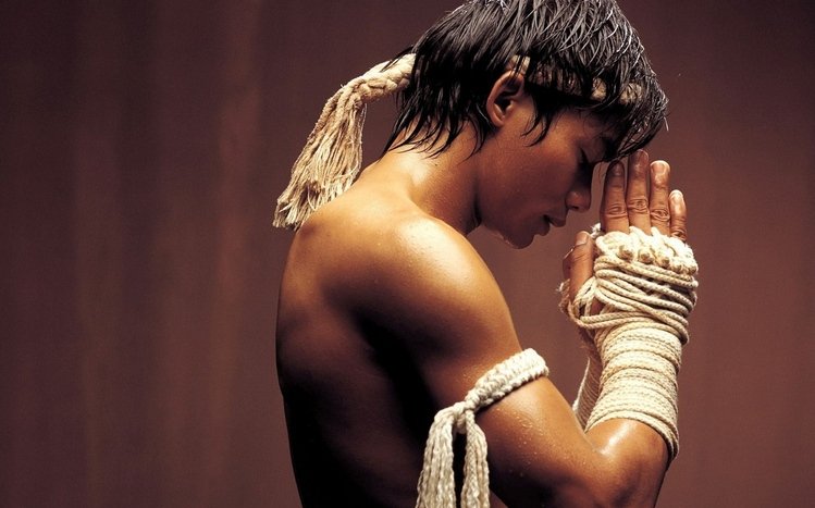 Muay Thai Theme screenshot #8