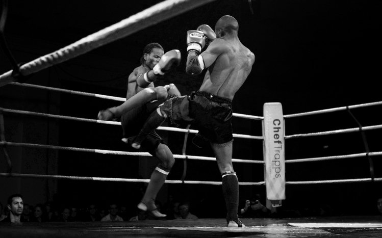 Muay Thai Theme screenshot #11