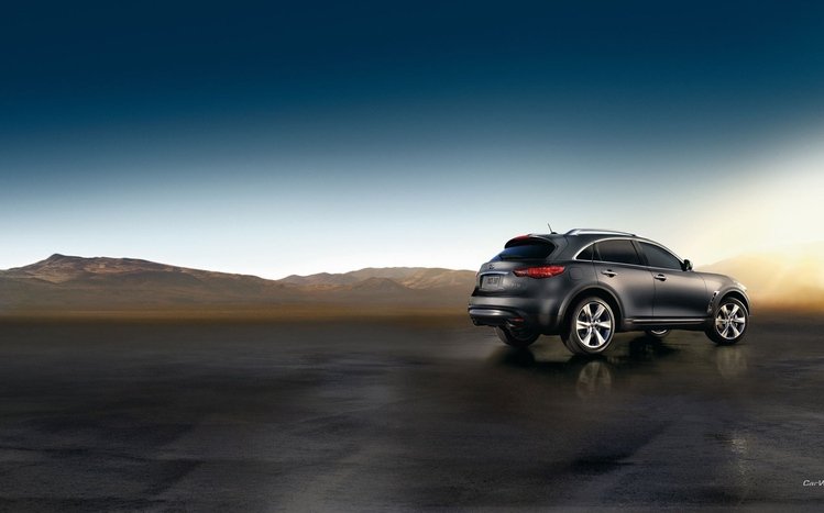 Infiniti Theme screenshot #13