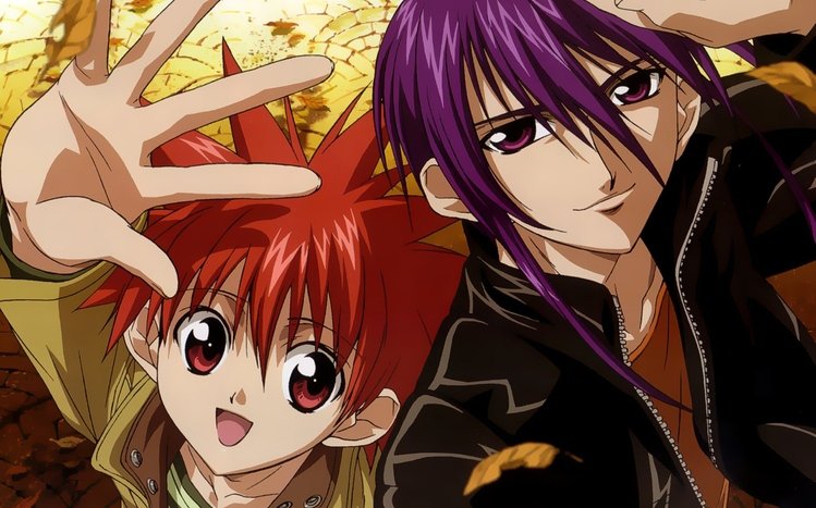 D.N.Angel Theme screenshot #5