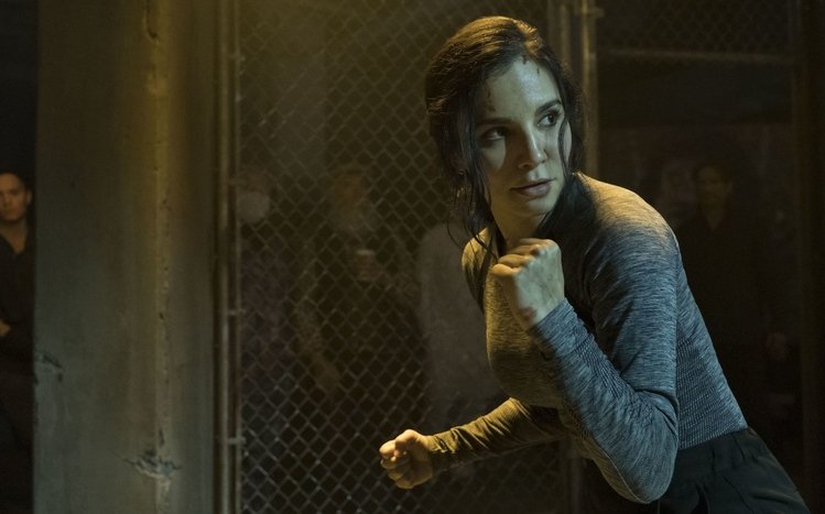 Altered Carbon Theme screenshot #1