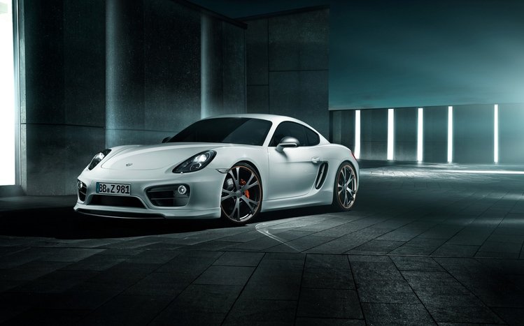 Porsche Cayman Theme screenshot #14