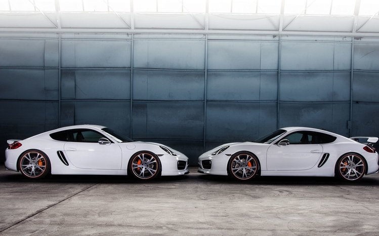 Porsche Cayman Theme screenshot #10