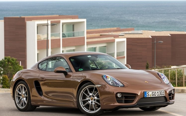 Porsche Cayman Theme screenshot #9