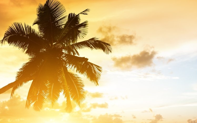 Beaches (Dual Monitor) Theme screenshot #1