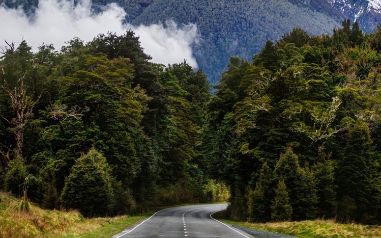 Forests (Dual Monitor) Theme screenshot #15