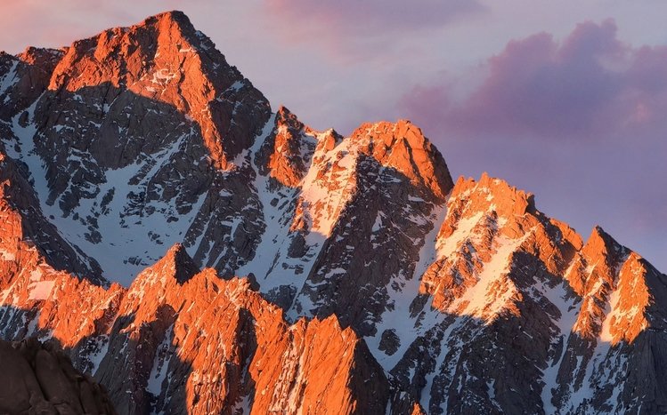 Nature (Dual Monitor) Theme screenshot #7