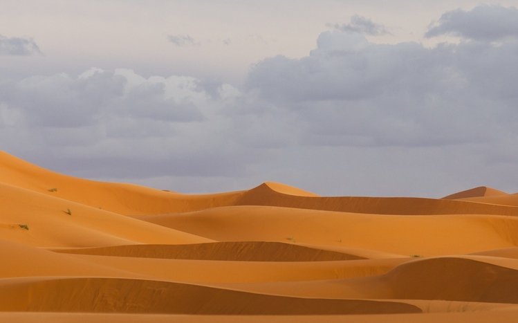 Nature (Dual Monitor) Theme screenshot #15