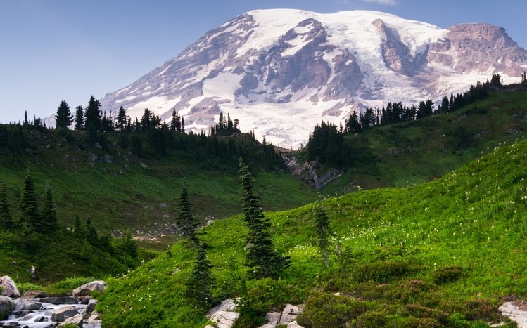 Nature (Dual Monitor) Theme screenshot #9