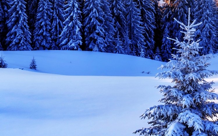 Winter (Dual Monitor) Theme screenshot #14