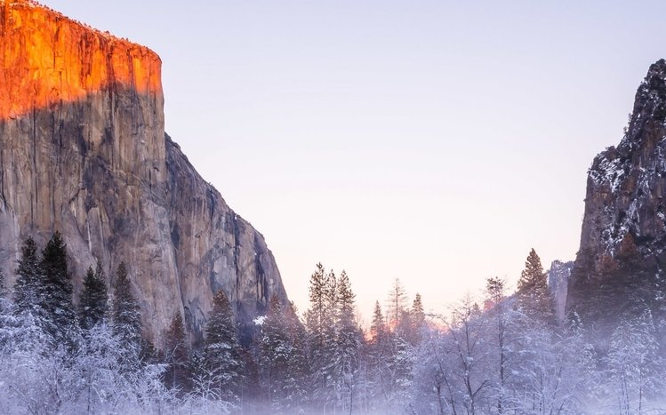 Winter (Dual Monitor) Theme screenshot #5