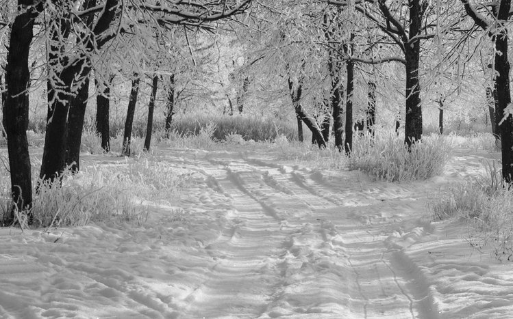 Winter (Dual Monitor) Theme screenshot #9