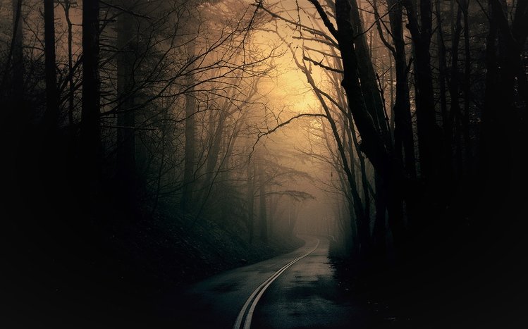 Dark Forest Theme screenshot #9