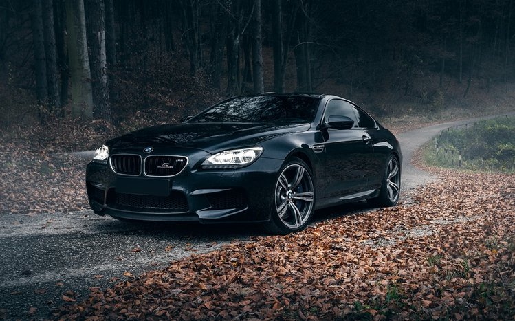 Black Cars Theme screenshot #16