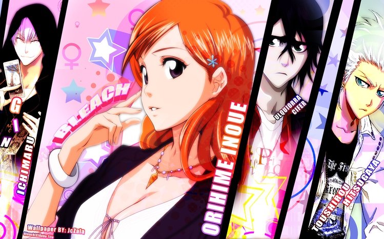 Orihime Inoue Theme screenshot #4