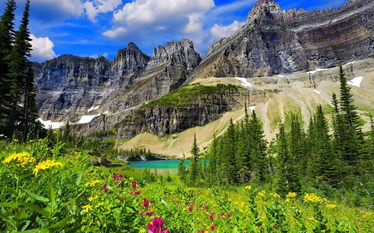 First Day of Spring Theme screenshot #10