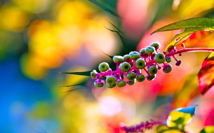 First Day of Spring Theme screenshot #9