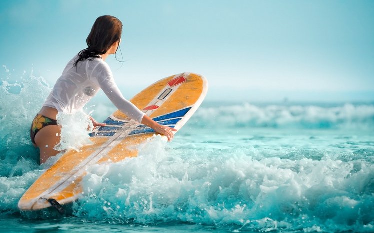 Surfing Girls Theme screenshot #20