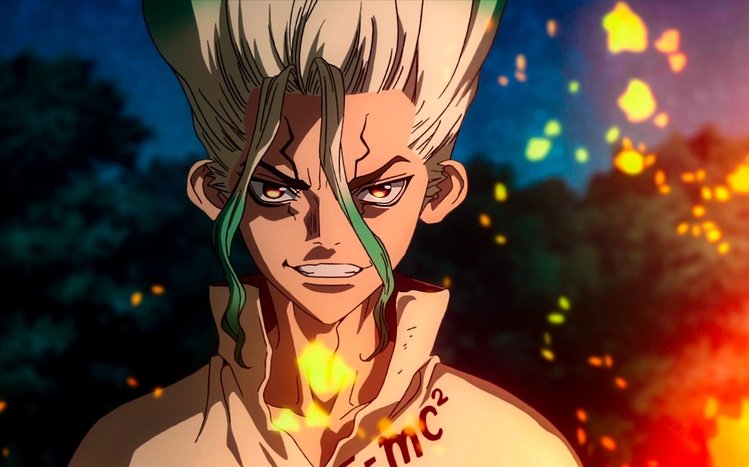 Dr. Stone