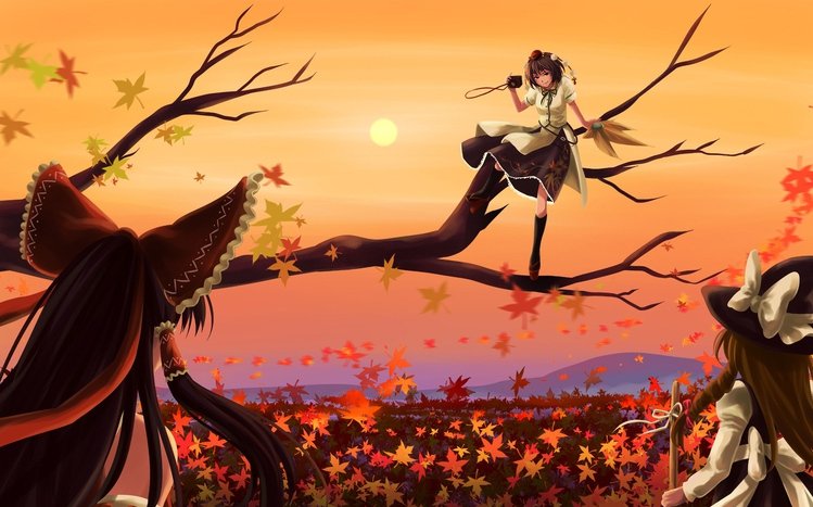 Reimu Hakurei Theme screenshot #7