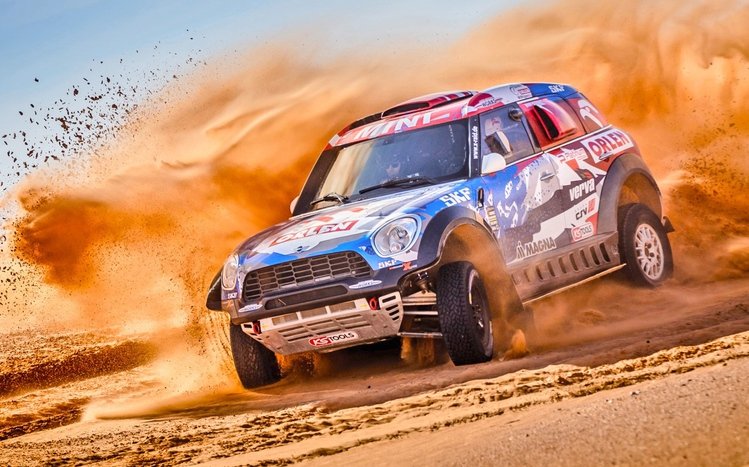 Rally Theme screenshot #10