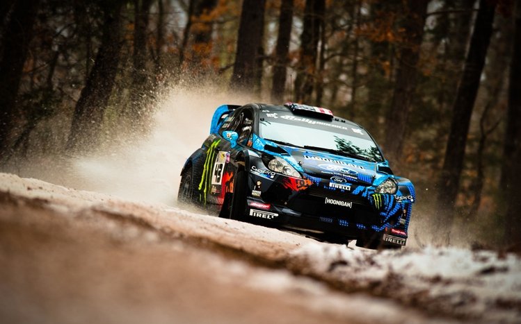 Rally Theme screenshot #7