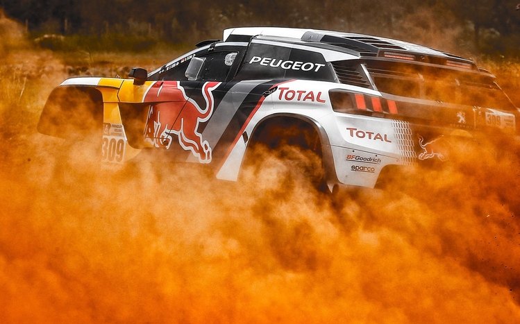 Rally Theme screenshot #15