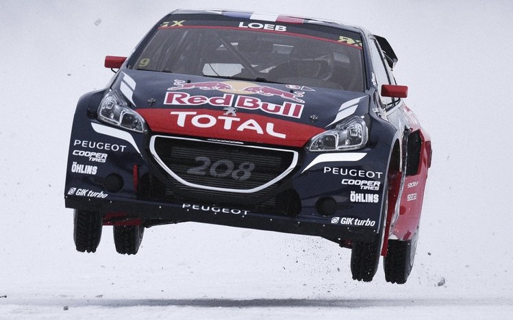 Rally Theme screenshot #9