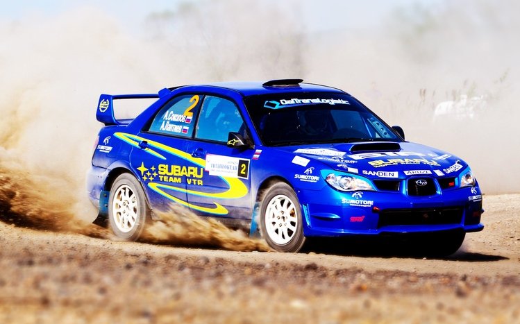 Rally Theme screenshot #2