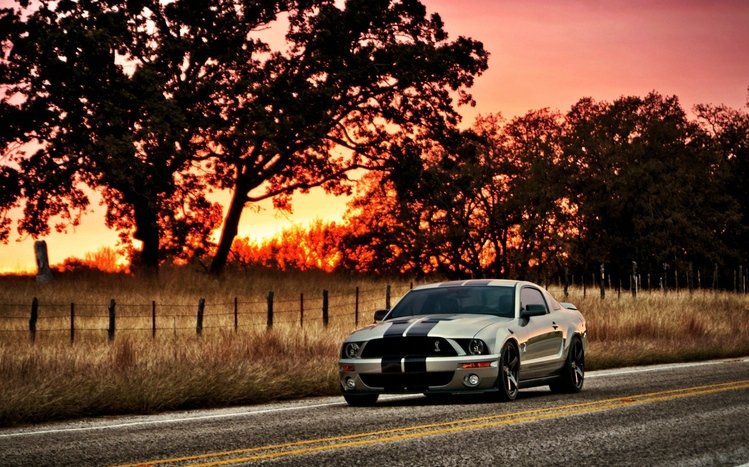 Ford Shelby GT500 Theme screenshot #10