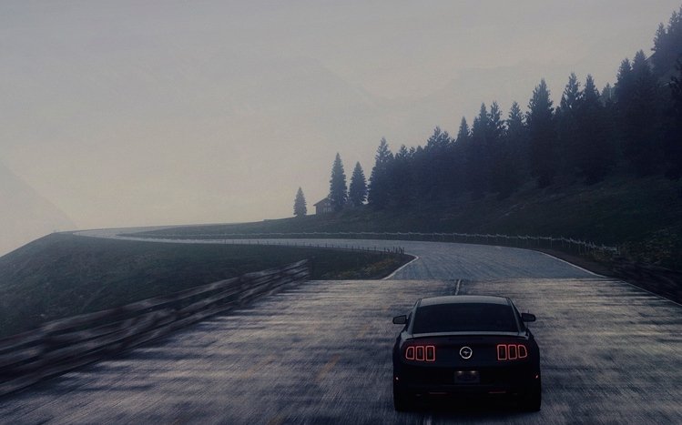 Ford Shelby GT500 Theme screenshot #11